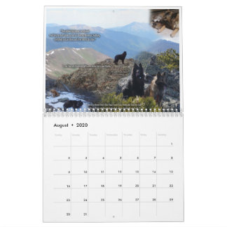 True Knight Tervurens puppy reviews calendar