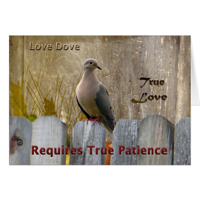 True Love Love Dove (Front Horizontal)