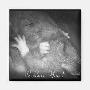 True Love Magnet