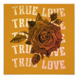 True Love Rose Romantic Valentine's Day B&W Photo Print