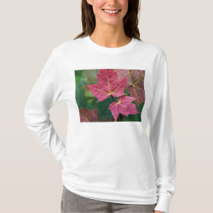 true to you T-Shirt