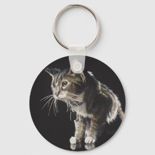 Truffles the Tabby Cat Watercolor Key Ring