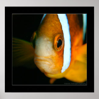 Truk Yamagiri Maru 009bbcr Poster