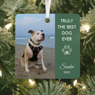 Truly The Best Dog Ever Photo Paw Print Keepsake Metal Tree Decoration
