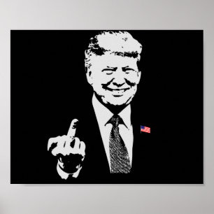 Trump 2020 poster