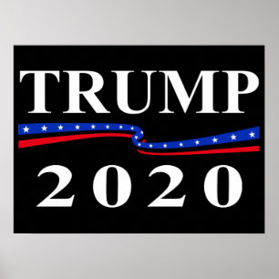 Trump 2020 poster