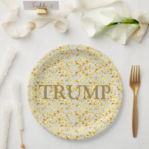 TRUMP 2024 PAPER PLATE