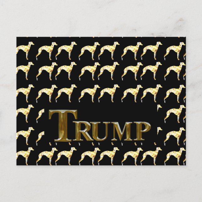 TRUMP 2024 POSTCARD (Front)