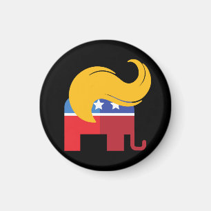 Trump 2024 Presidential Election Magnet