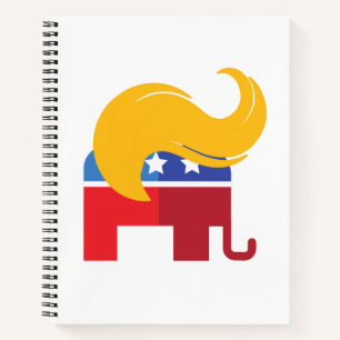 Trump 2024 Presidential Election  Notebook