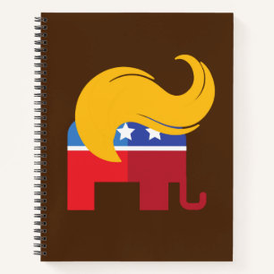 Trump 2024 Presidential Election Notebook