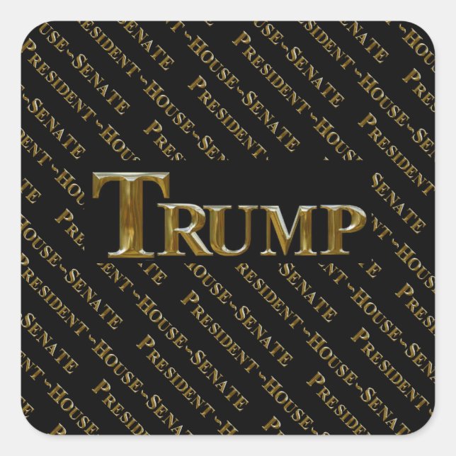 TRUMP 2024 SQUARE STICKER (Front)