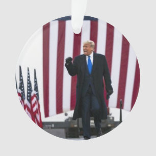 Trump 2024 Take Ameica Back Ornament