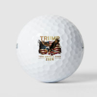 Trump 2024 Take America Back American Flag Trump 2