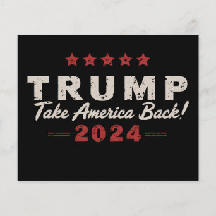 Trump 2024 Take America Back President 47 USA Flyer