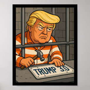 Trump 3.0 License Plate Designer Poster