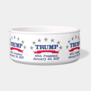 Trump 45th President