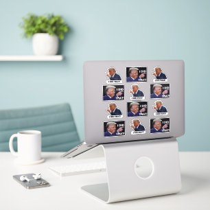 Trump did it 12 sticker sheet