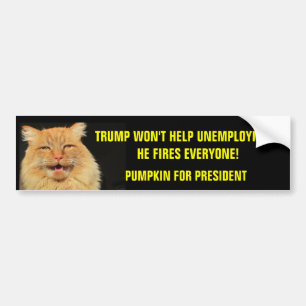 Trump Fires Everyone  Pumpkin for President Bumper Sticker