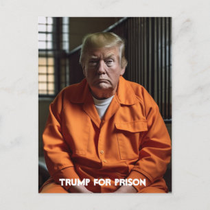 Trump For Prison Trump in Jail Postcard