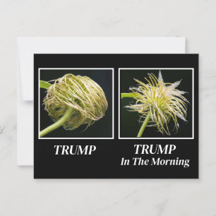 Trump Hair Postcard