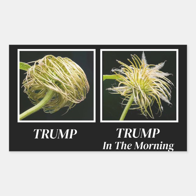 Trump Hair Rectangular Sticker (Front)