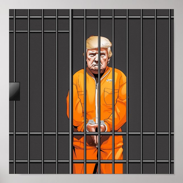 Trump in Jail Print, Value Poster Paper (Matte) 12 (Front)