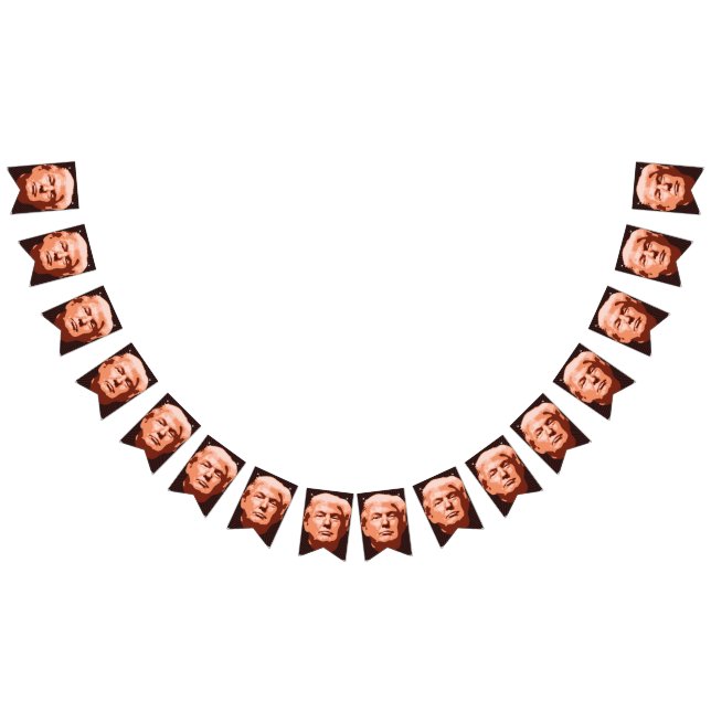 Trump Inauguration 2017 Bunting (All)