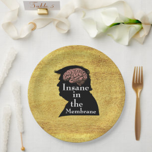 Trump/Insane Paper Plate