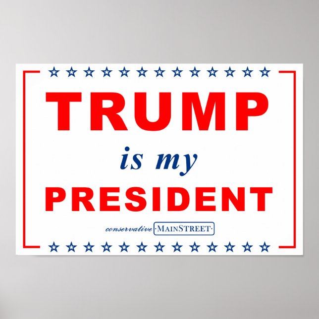 TRUMP is my PRESIDENT (RWB) Rally Sign (Front)