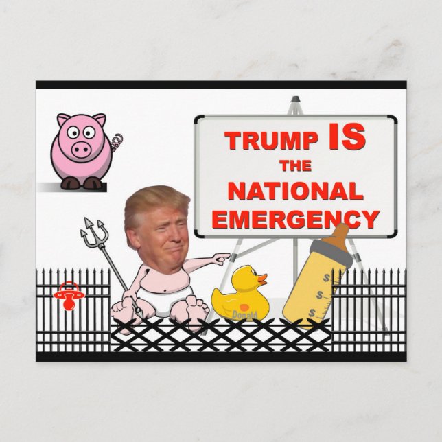 Trump IS the national emergency / Anti Trump, Postcard (Front)