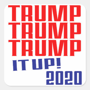 Trump it Up! Trump 2020 - Stickers (Set of 20)