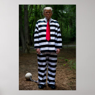 Trump Jail Poster