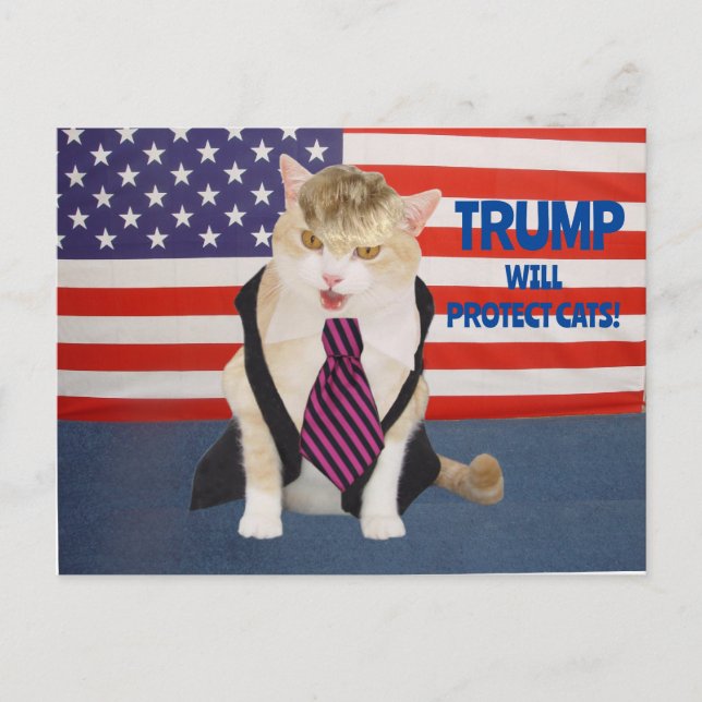 Trump Kitty Postcard (Front)