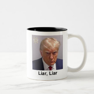 Trump Mug "Liar, Liar" mugshot