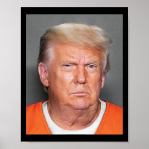 Trump Mugshot  Poster
