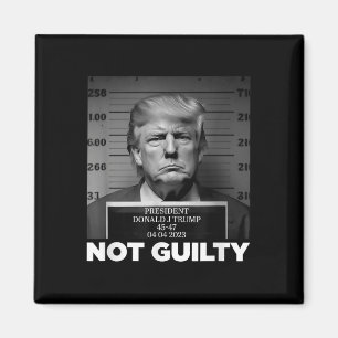 Trump Not Guilty Mug Shot Free Trump I Stand With Magnet