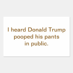 Trump Pooped His Pants Public Hankamer Artjunkhaus Rectangular Sticker