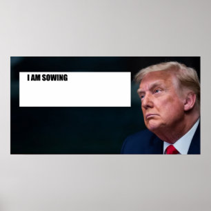 Trump Poster