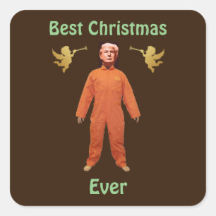 Trump Prisoner Sticker