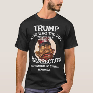 Trump Riot Insurrection Farewell Tour 2028 T-Shirt