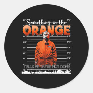 Trump Something In The Orange Tells Me We're Not D Classic Round Sticker