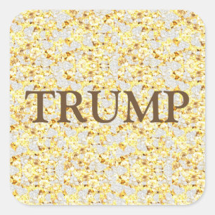 TRUMP SQUARE STICKER