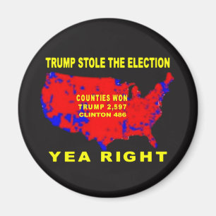 TRUMP STOLE THE ELECTION MAGNET