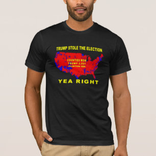 TRUMP STOLE THE ELECTION T-Shirt