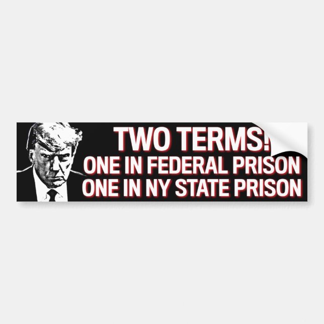 Trump Two Terms Prison Mugshot Anti-Trump 2024 Bumper Sticker (Front)