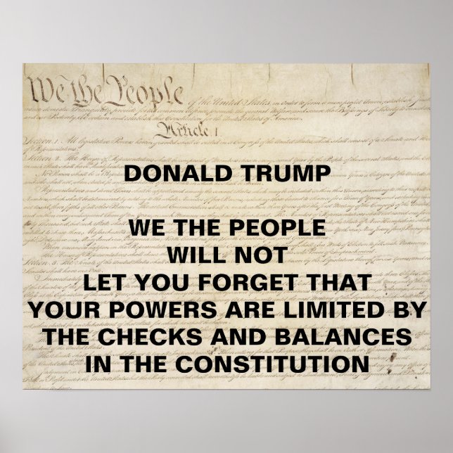 Trump We the People Checks and Balances Protest Poster (Front)