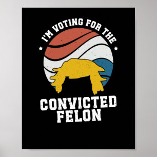 Trump We The People  Poster