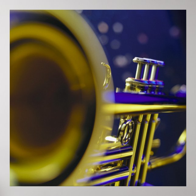 Trumpet Close-Up 3 Poster (Front)