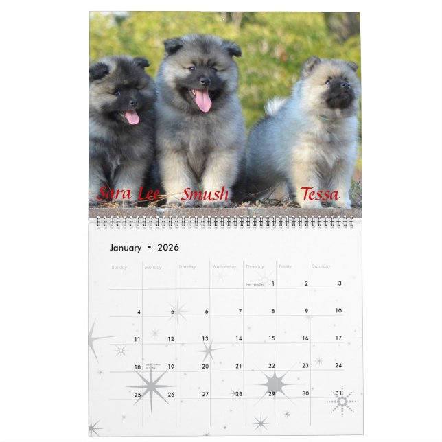 Trumpet Keeshond Calendar (Jan 2026)